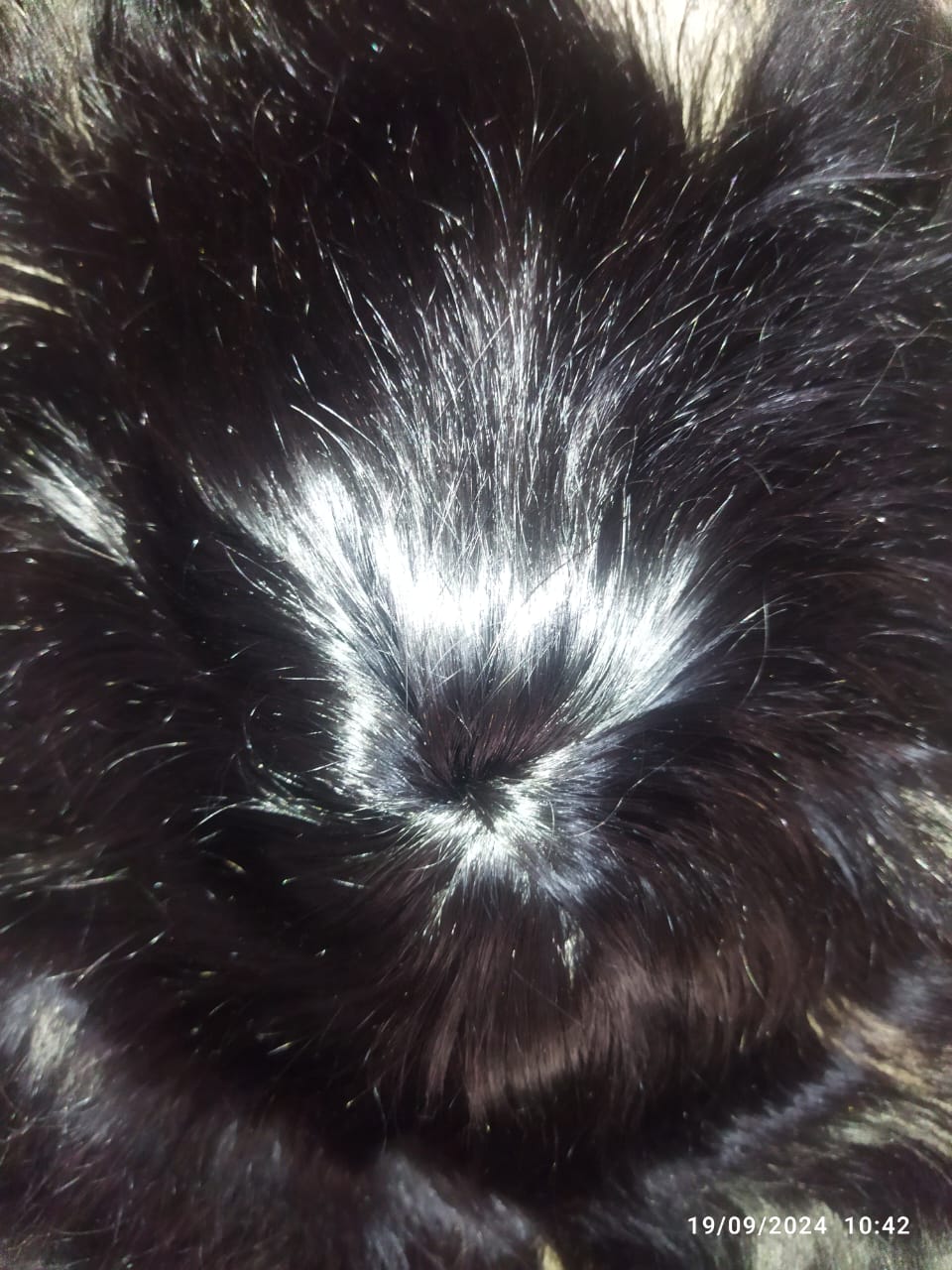 Silky and Sine Golden Hair Patch